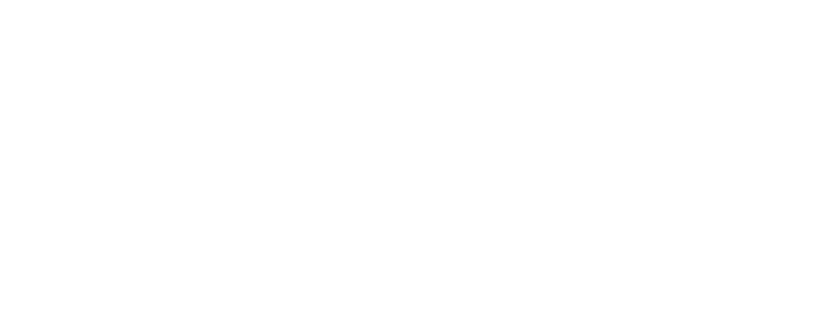 Fahrzeugpflege Neves